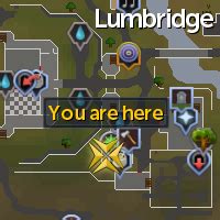 osrs bobs axes flyer|Bob (Lumbridge) .
